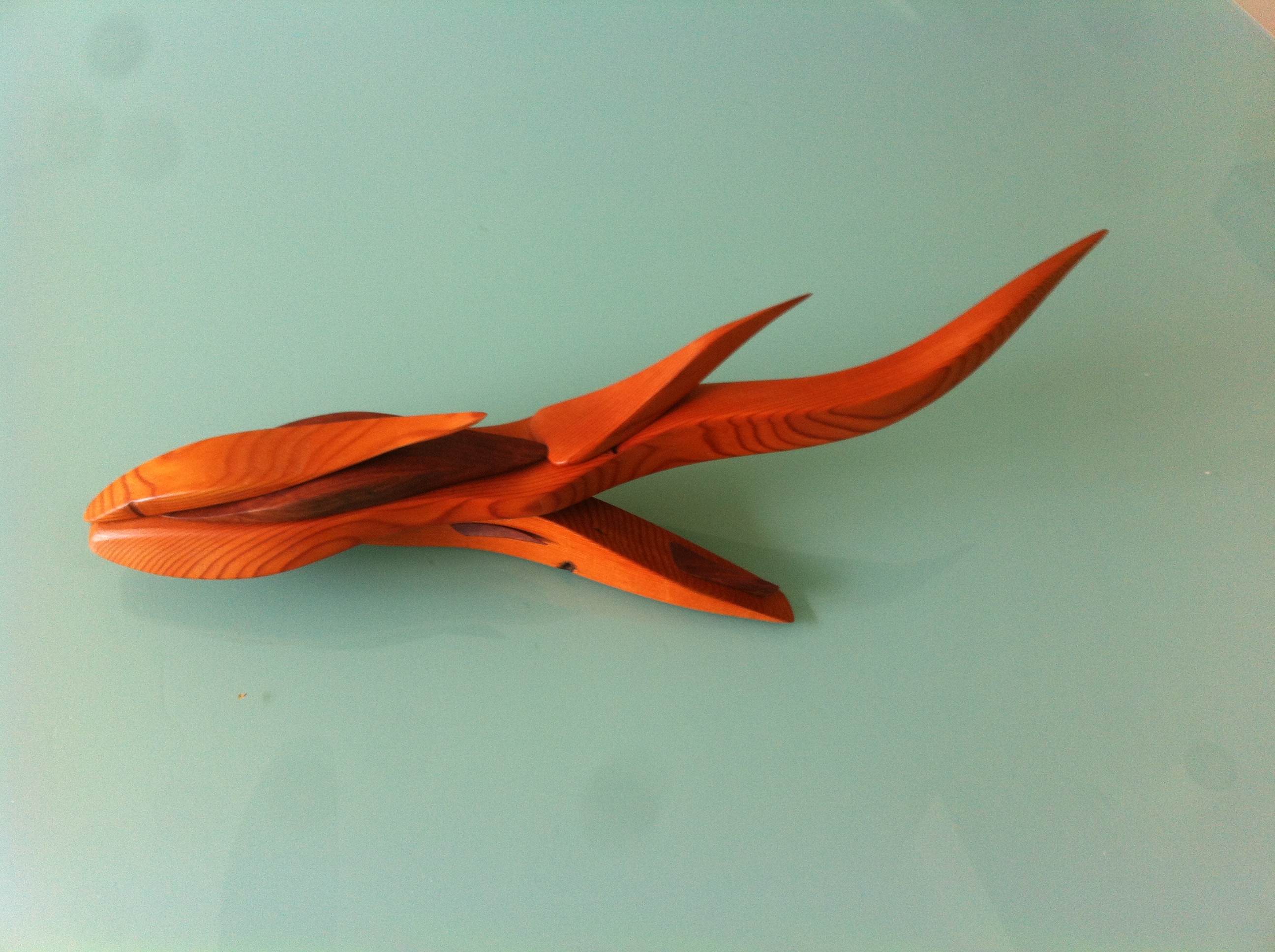 Sucker Fish — work by Peter J Cosgrave