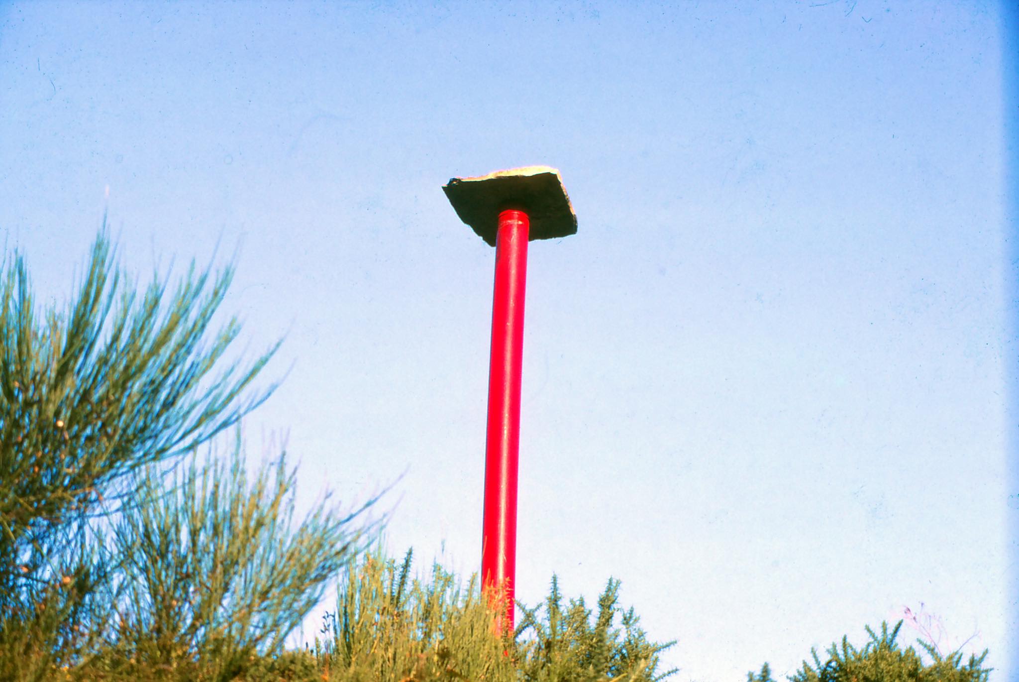 Worm — Sculpture by Peter J Cosgrave