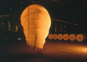 Wasp — Installation by Peter J Cosgrave